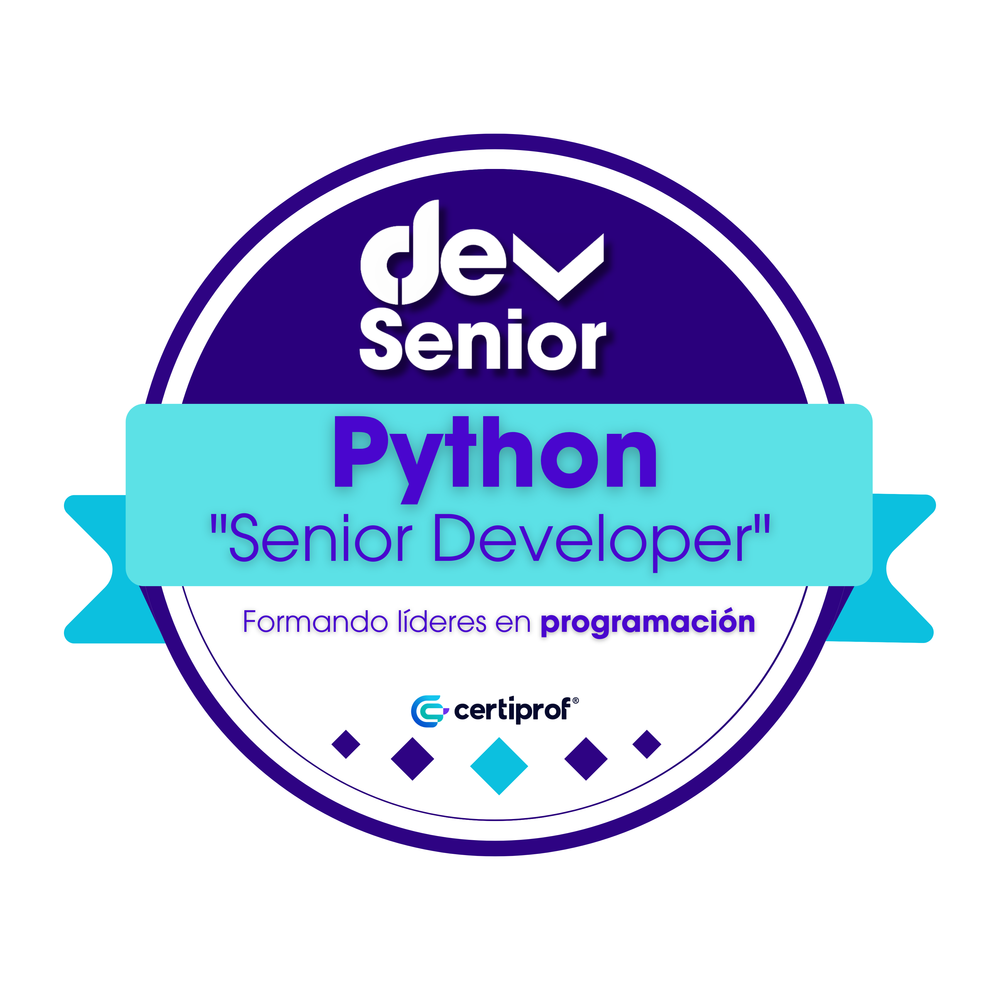 Insignia Python Senior Developer
